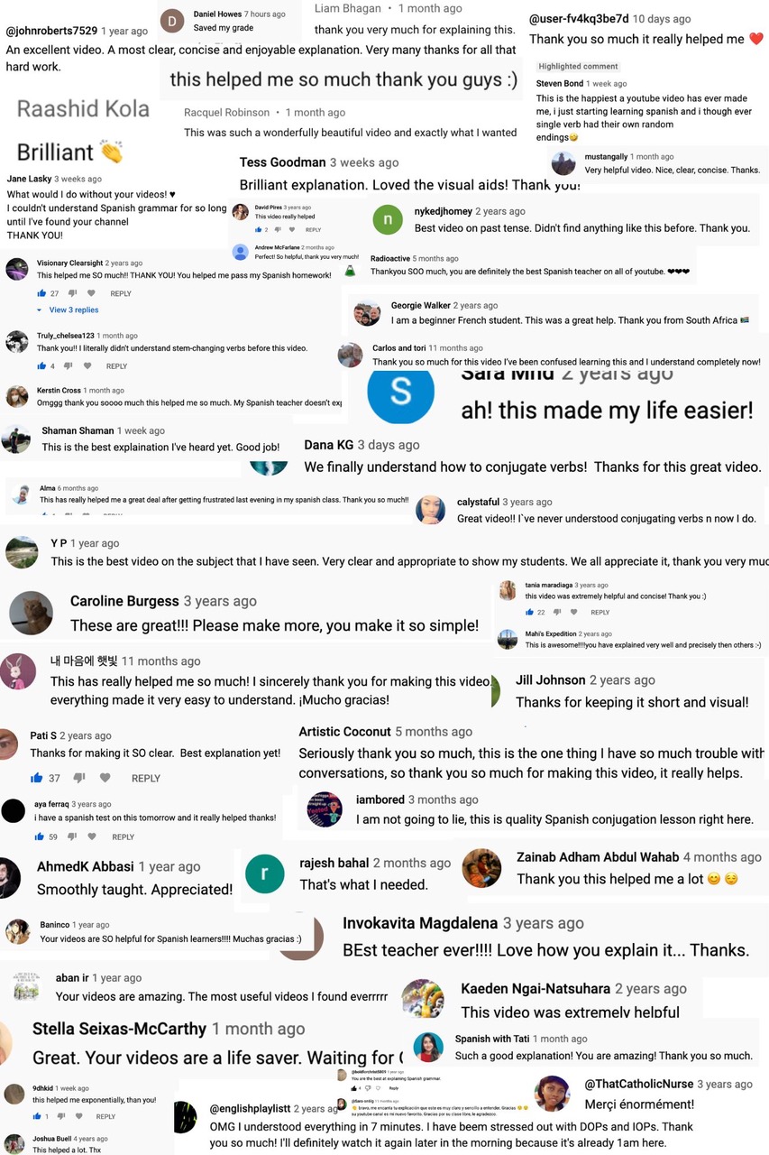 LingoLearner reviews